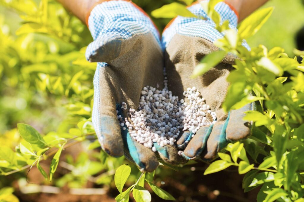Fertilizer Supply
