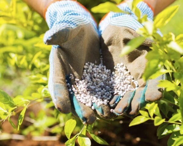 Fertilizer Supply
