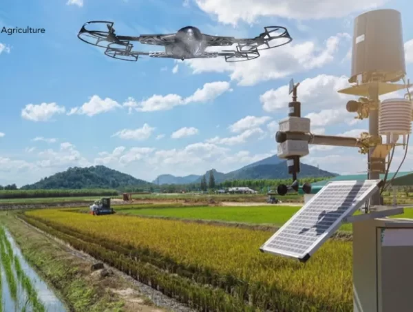 Crop Nutrition Programs