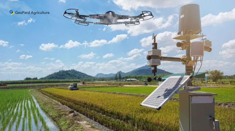 Crop Nutrition Programs